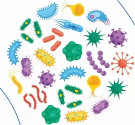 MDM2 Protein Vector Human