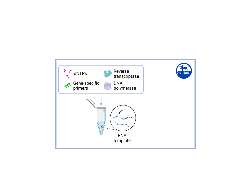 RT PCR Genotyping Kit  Thrombophilia Susceptibility 