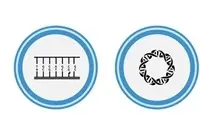 [171-MT-h11043] IL6 3UTR Lenti-reporter-Luciferase Vecto