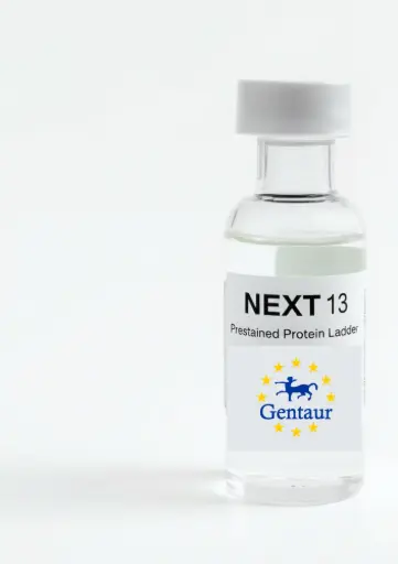 [M0060-B500] Gentaur NEXT 13 Prestained Protein Ladder