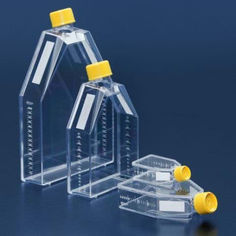 [SA25-b27supplement-20] Tissue culture flask 25 cm² / filter screw cap / triple bagged 
