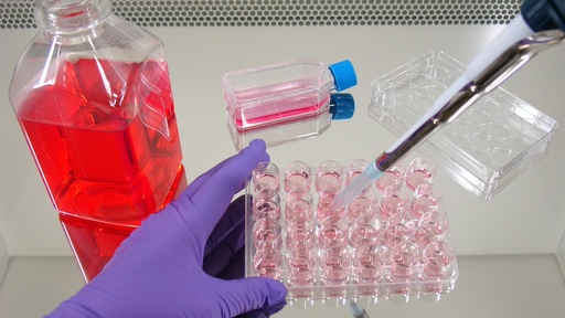 [SA25-b27supplement-53] TubeSpin Bioreactor 15, round 