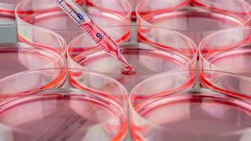 [SA25-b27supplement-80] Tissue culture test plate, 48 wells (4 pcs)