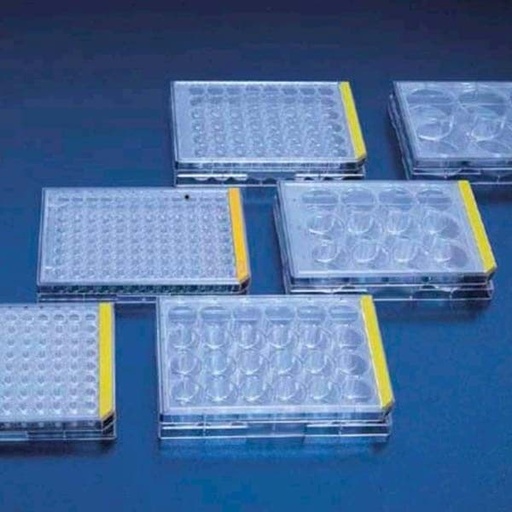 [SA25-b27supplement-81] Tissue culture test plate, 12 wells (4 pcs) 