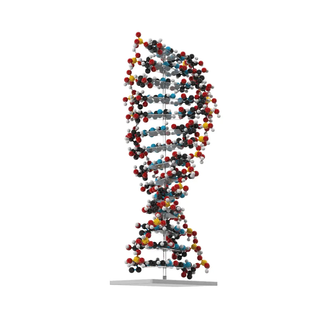 Advanced Techniques in Molecular Biology: Applications in Genetic Research and Disease Diagnosis